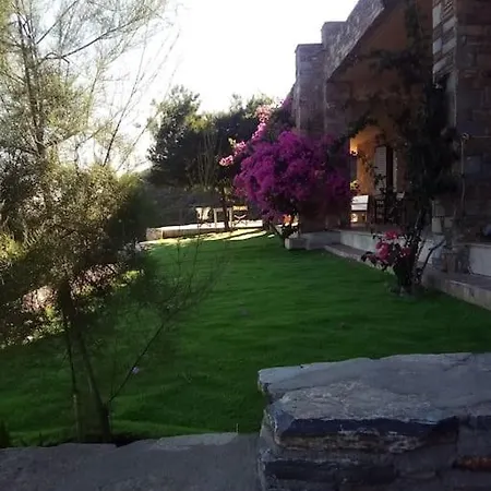 公寓 Real Paradise Kalamos Evia *