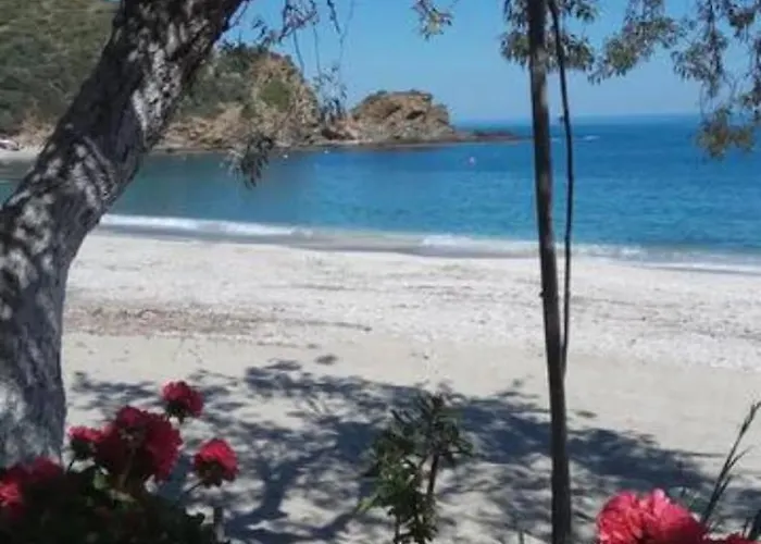 Real Paradise Kalamos Evia *